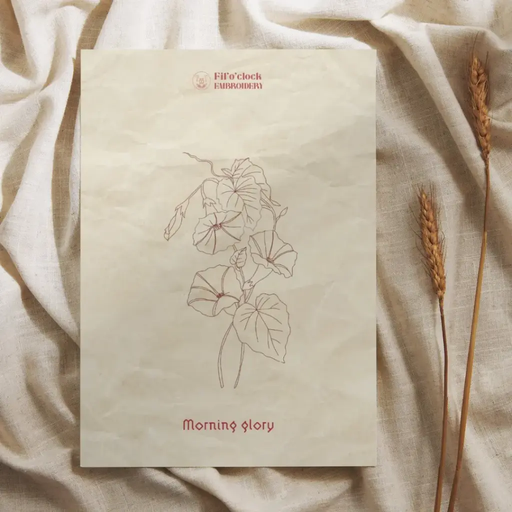 Carte illustrée Morning Glory - Plantes Psychotropes