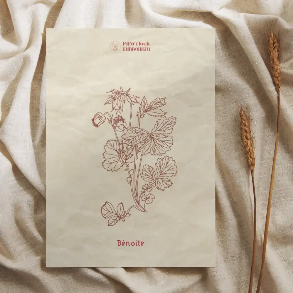 Carte illustrée Bénoite - Plantes rituelles
