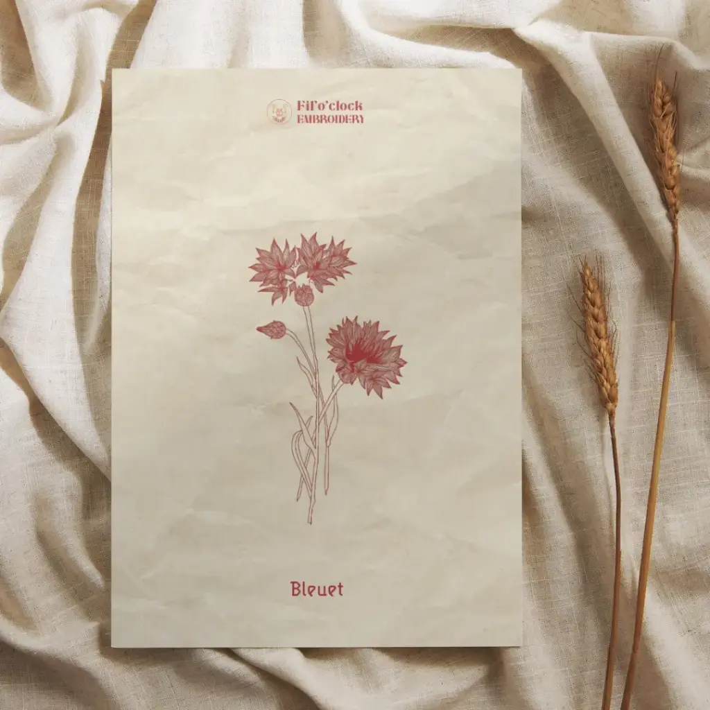 Carte illustrée Bleuet - Plantes tinctoriales