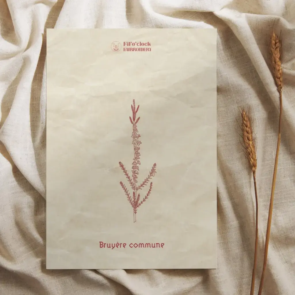 Carte illustrée Bruyère commune - Plantes tinctoriales