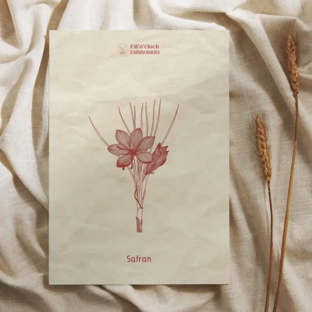 Carte illustrée Safran - Plantes tinctoriales