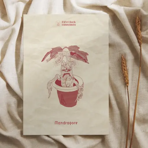 Carte illustrée Mandragore - Plantes de Geek