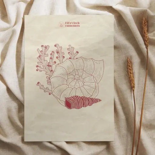 Carte illustrée Coquillage 2 - Néréides