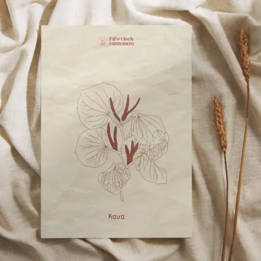 Carte illustrée Kava - Plantes psychotropes