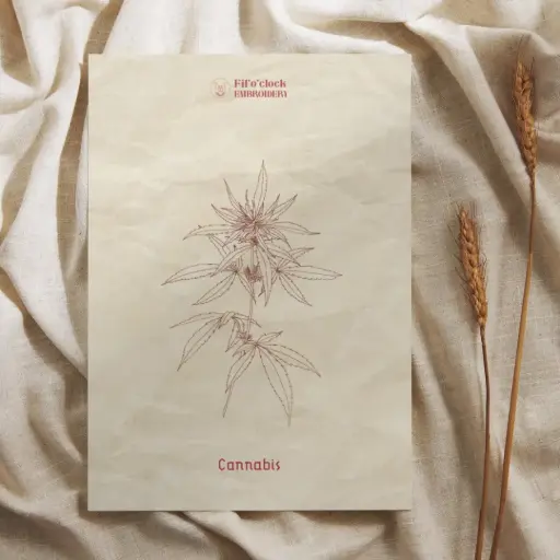 Carte illustrée Cannabis - Plantes psychotropes
