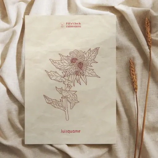 Carte illustrée Juisquame - Plantes rituelles