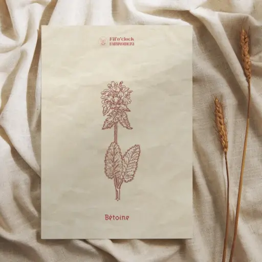 Carte illustrée Bétoine - Plantes rituelles