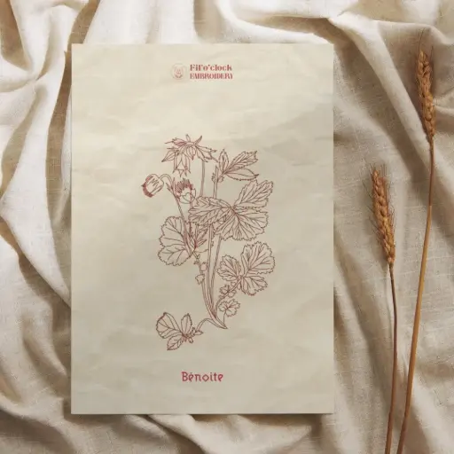 Carte illustrée Bénoite - Plantes rituelles