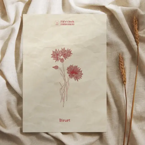 Carte illustrée Bleuet - Plantes tinctoriales