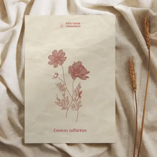 Carte illustrée Cosmos sulfureux - Plantes tinctoriales