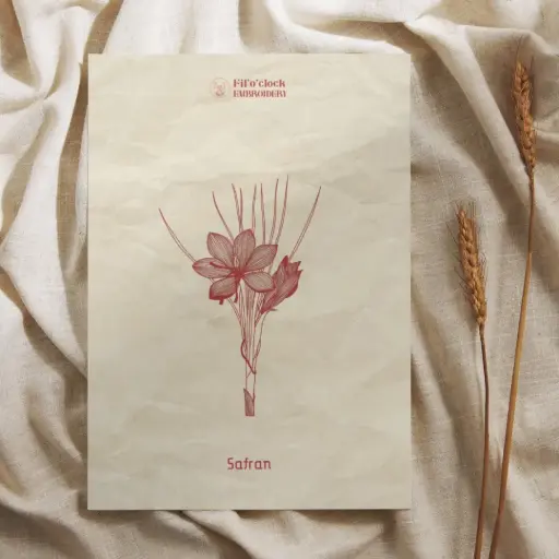 Carte illustrée Safran - Plantes tinctoriales