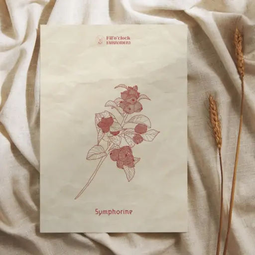 Carte illustrée Symphorine - Plantes tinctoriales