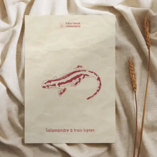 Carte illustrée Salamandre à trois lignes