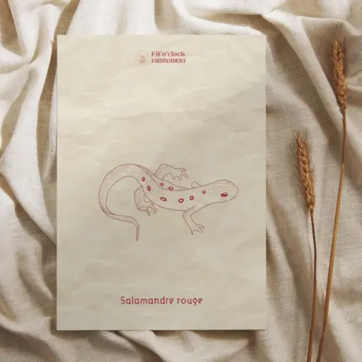 Carte illustrée Salamandre rouge