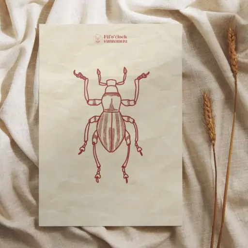 Carte illustrée Scarabée 1