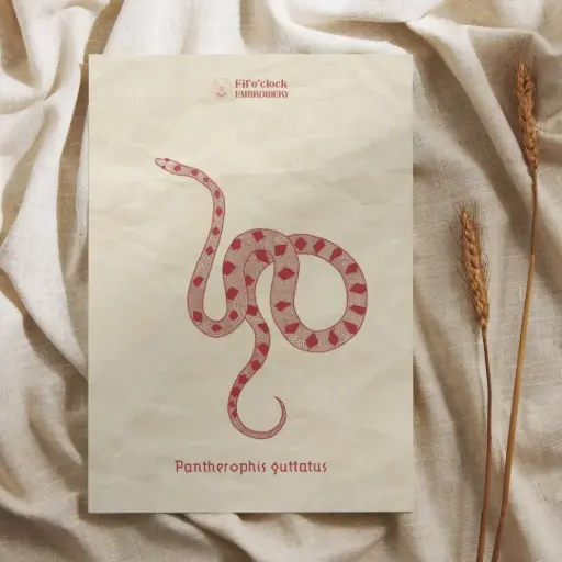 Carte illustrée Pantherophis Guttatus - Serpents