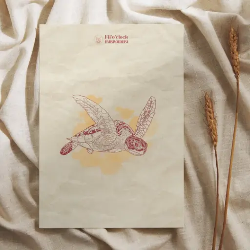 Carte illustrée Tortue 2
