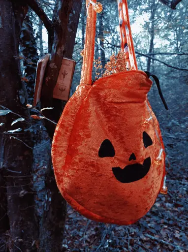 Sac à bandoulière citrouille