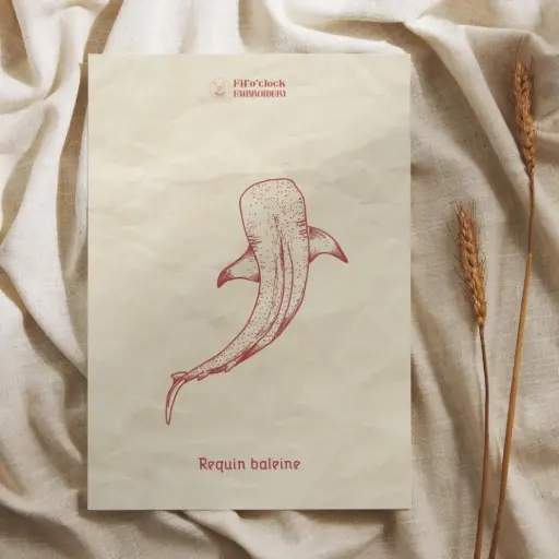 Carte illustrée requin baleine - Animaux marins
