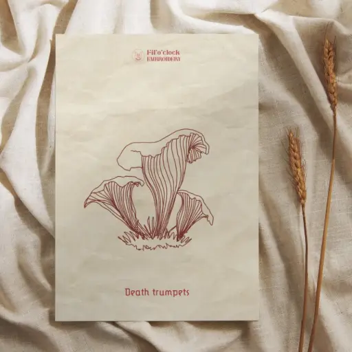 Carte illustrée Death trumpets - Champignons