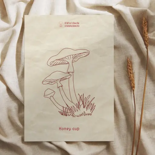 Carte illustrée Honey cup - Champignons