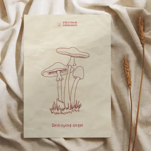 Carte illustrée Destroying angel - Champignons
