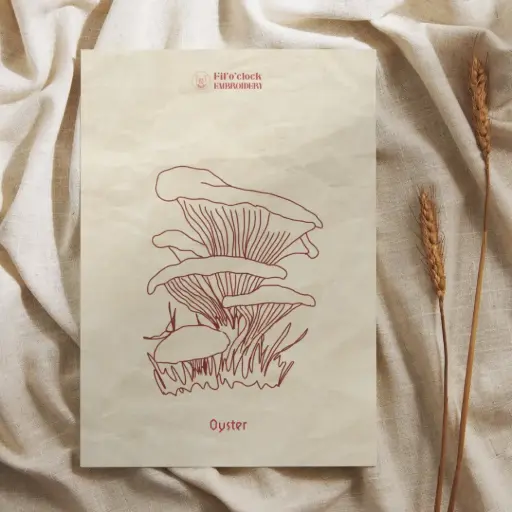 Carte illustrée Oyster - Champignons
