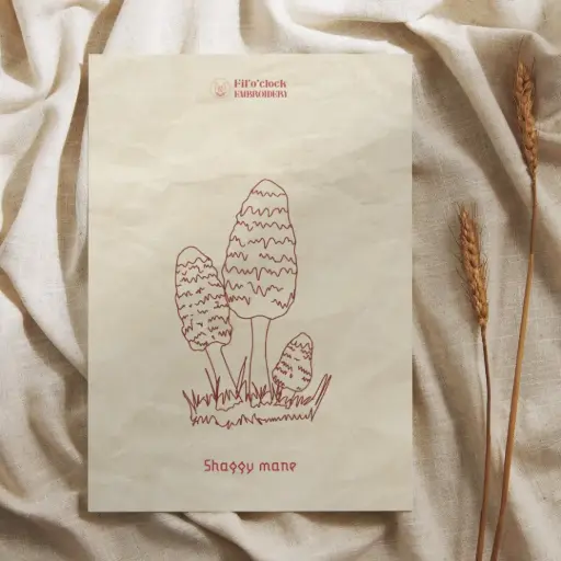 Carte illustrée Shaggy mane - Champignons